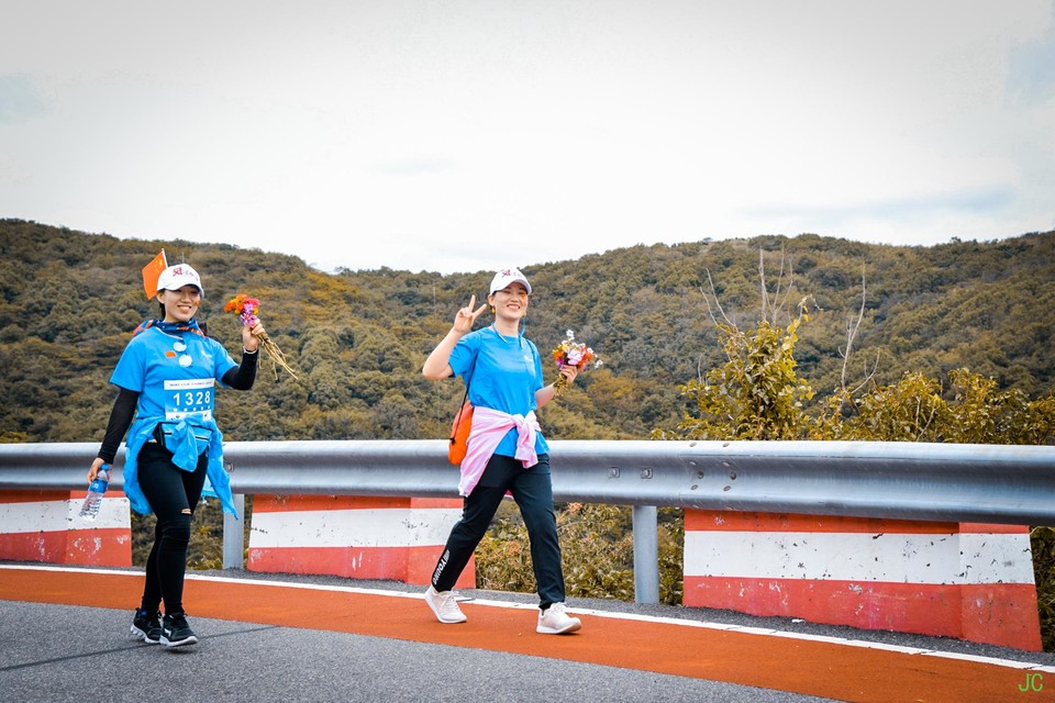 DSC_0966.JPG-49141520