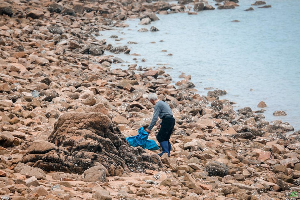 i35a0717.jpg-69460455