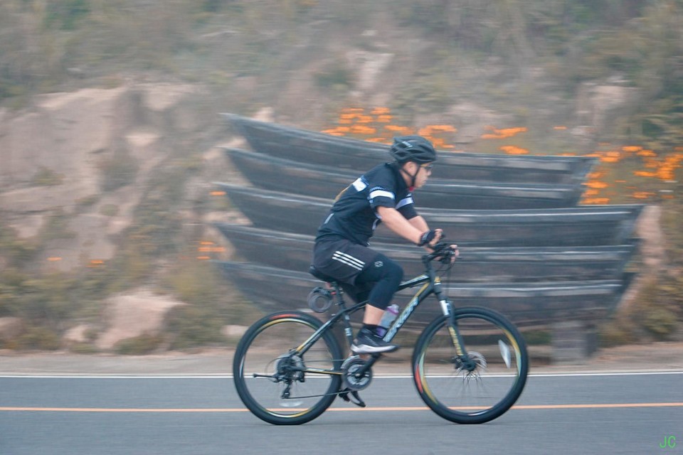 yj3_2796.jpg-69455101