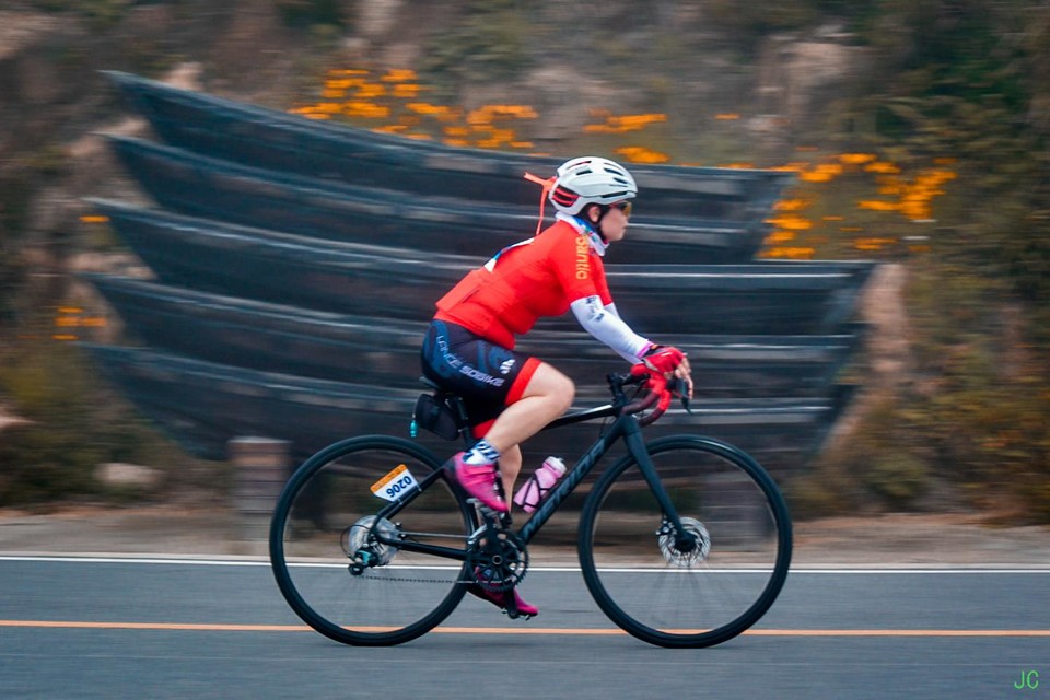 yj3_2812.jpg-69455124