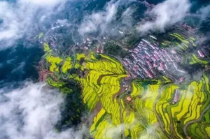 【3.28】白墙黛瓦菜花黄，建德胥岭美如画！