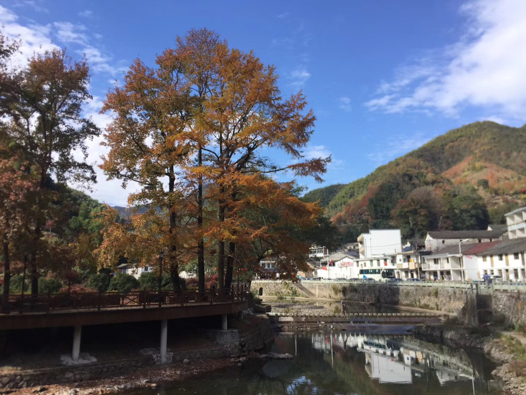 11月7日栖霞坑古道丨秋天,就该去满地金叶的地方!看枫叶层林尽染