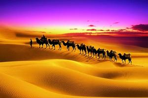 8月12-19日 | 多姿多彩西北游+骏彩体育倾情赠送等你来！