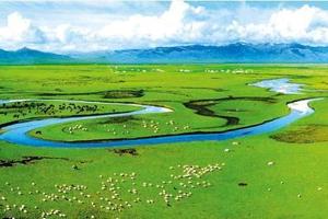 8月6-11日 | 伸手摸到天，抬手碰到云，一生一定要去一次呼伦贝尔！！！