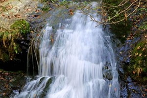 【9.1】千岛湖金屏峡谷穿越，探秘清泉林间的秘密之旅