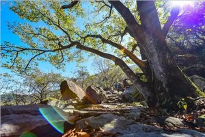 11.3【吴越古道浙江段】徒步吴越古道浙江段！最美的季节最美的吴越古道！