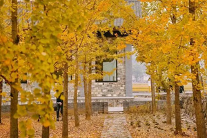 12.1【马岭关古道】休闲古道徒步，杨家村欣赏银杏