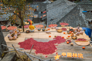 11.28-11.29【楠溪江】东西炉村赏秋景，感受苍坡秋收、林坑晒秋浪漫行。