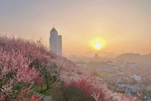 2月15日【台州】看江南长城梅园，逛有名的紫阳古街 