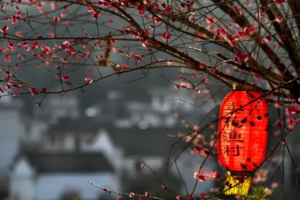 2月23日【安徽】最隐秘的花海仙境，只卖花不打鱼的卖花渔村