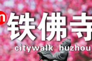 3.2 【湖州】探访铁佛寺，游古街，逛古镇，品味最纯正的江南风情