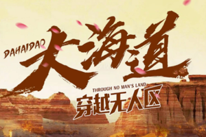 4.7【新疆】绝美杏花、鼎鼎大名的大海道，拍视频的绝佳地方，带上飘逸的长裙走起！