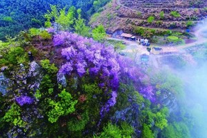 4.20【富阳】徒步九仰坪石长城，追逐漫山的杜鹃，古村落里的野趣爬山！