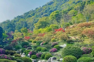 4.19【德清】 奇幻谷赏杜鹃，原汁原味新市古镇，感受江南水乡的惬意