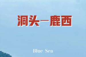 7月18-20日【温州】周末畅游离岛慢城，花园-鹿西岛避暑休闲游
