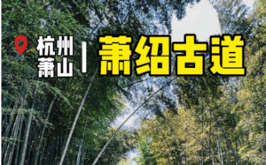 8.30【萧山】萧绍古道徒步行，相约绿林翠竹，让林间的清新空气净化心灵