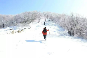 1.3【道场坪雪景】| 元旦后的第一场雪！错过再等一年！去冰雪武功山感受天地苍茫！