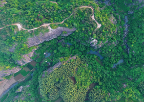  【周末活动】2月8日周日新昌徒步，大石瀑、红土地、三棵树茶园休闲爬山8公里