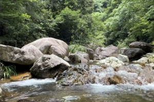 【7.12消暑清凉行】宁国大野洼溯溪，原生态峡谷穿越，密林瀑布群探险