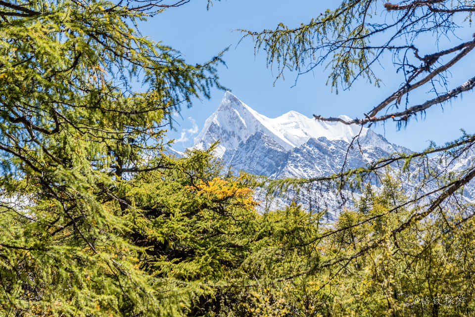 透过枝桠的夏诺多吉神山