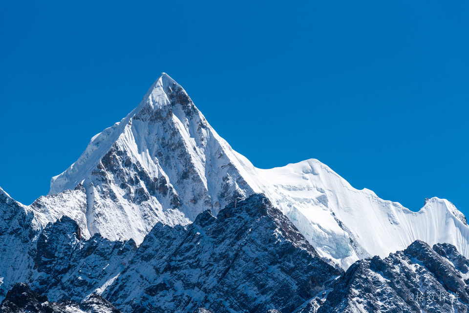 夏诺多吉大头照