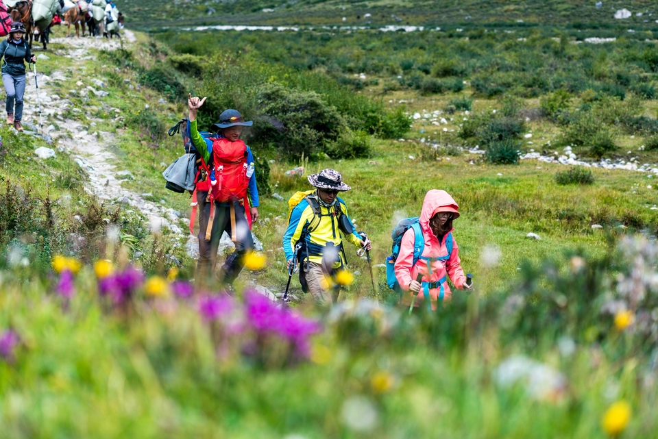 在大自然的环抱中行走