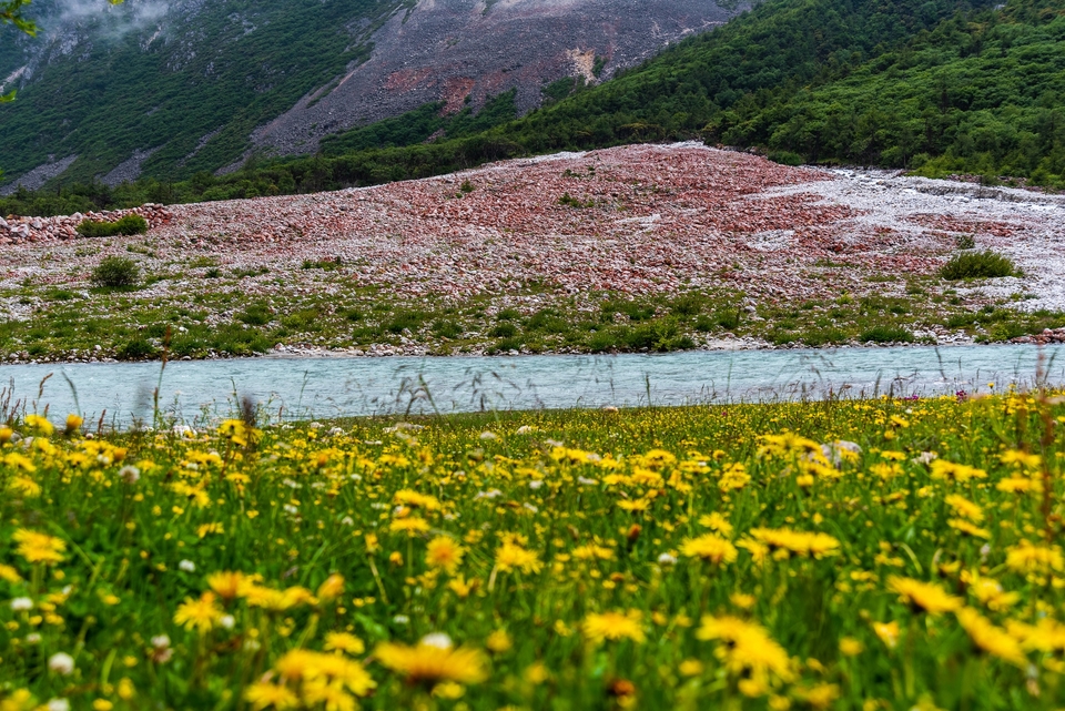 红石滩前花团锦簇