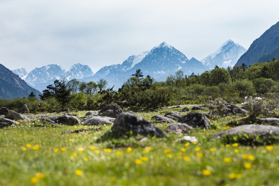 群山环绕，小花盛开