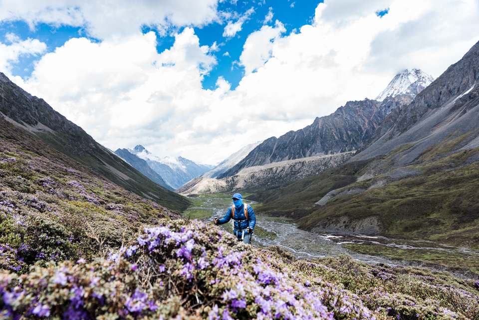 6月杜鹃花盛开，行走在花海中
