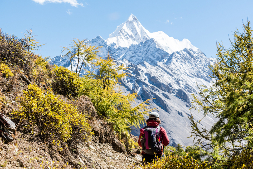 穿梭于彩林之中