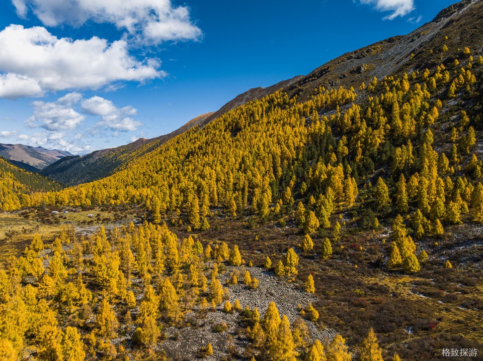 DJI_20241021131816_0033_D-已增强-降噪