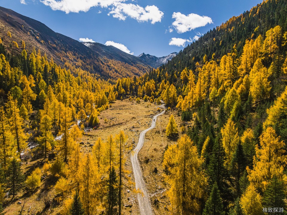 DJI_20241025093916_0385_D-已增强-降噪