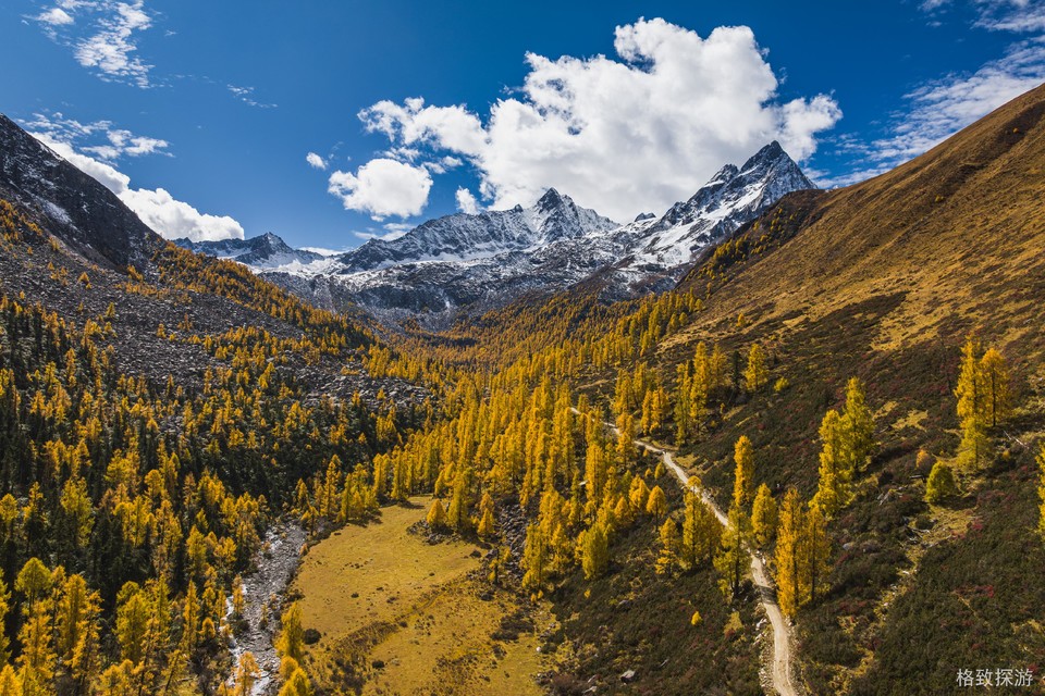 DJI_20241025104604_0442_D-已增强-降噪