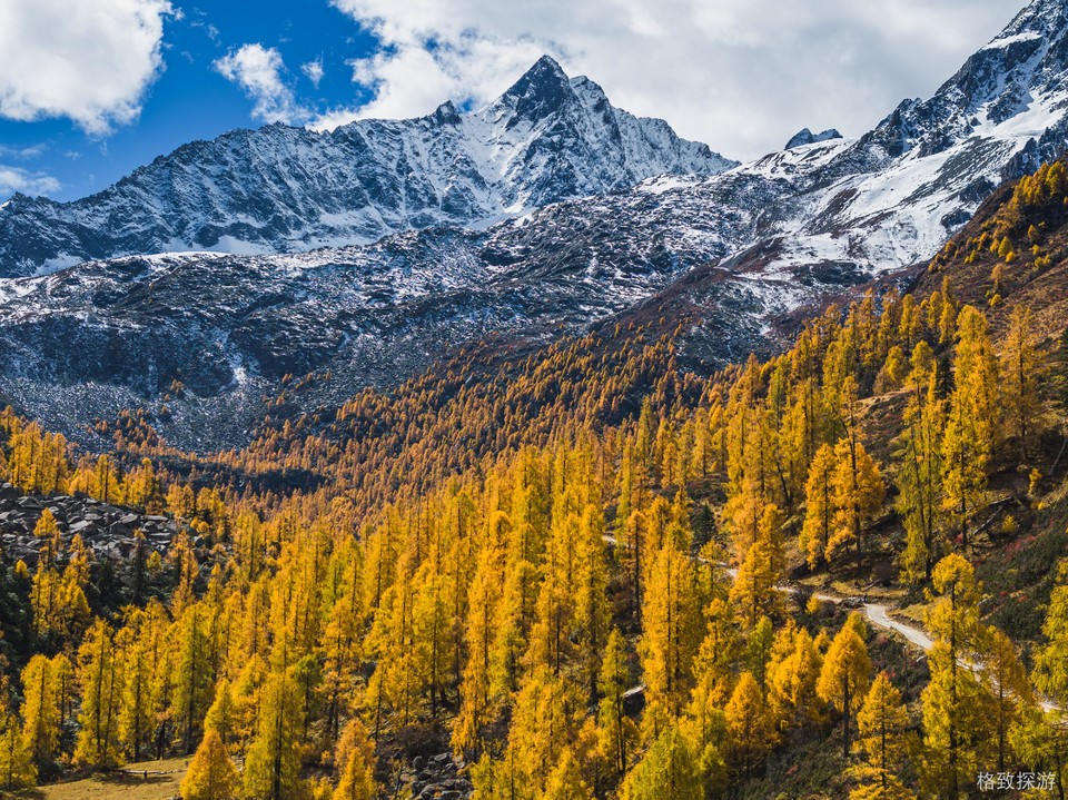 DJI_20241025104635_0448_D-已增强-降噪