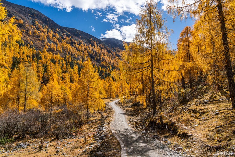 DSC06828-已增强-降噪