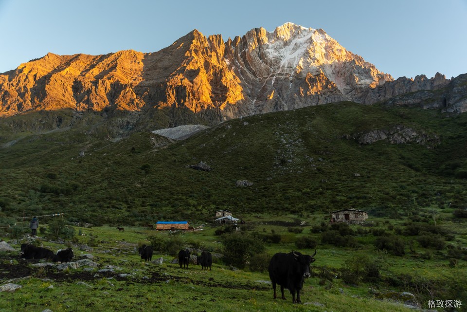 万花池牛场欣赏夏诺多吉南壁的日照金山。