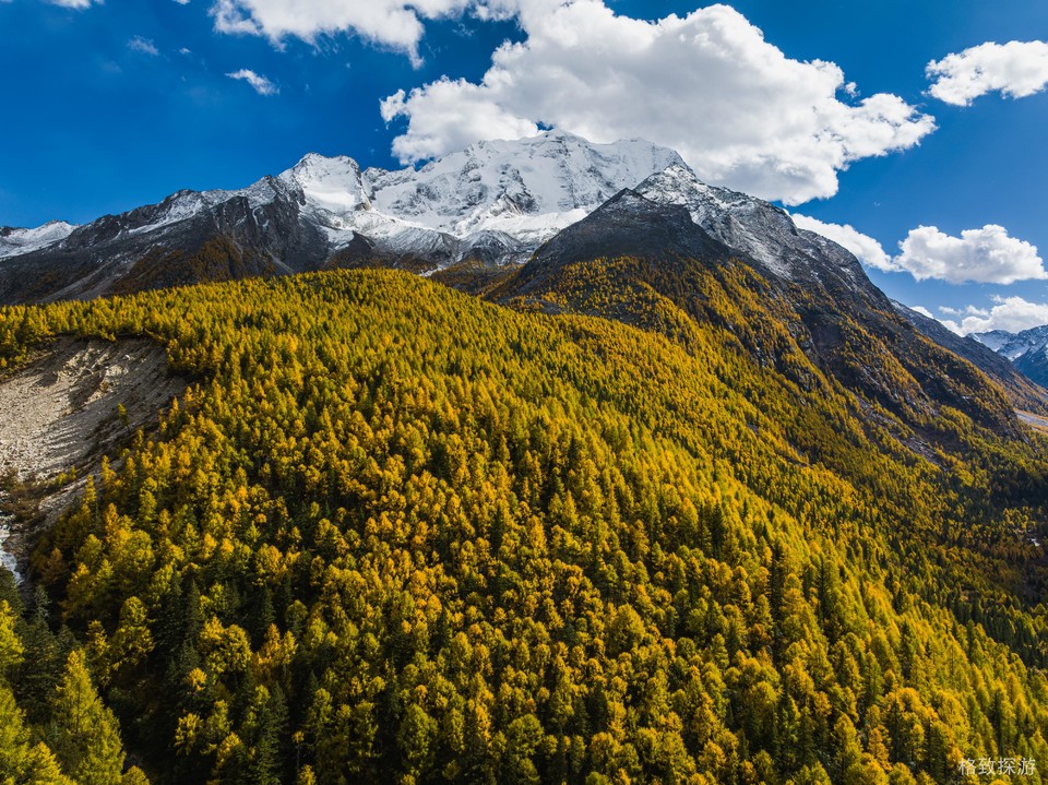 DJI_20241023124342_0317_D-已增强-降噪