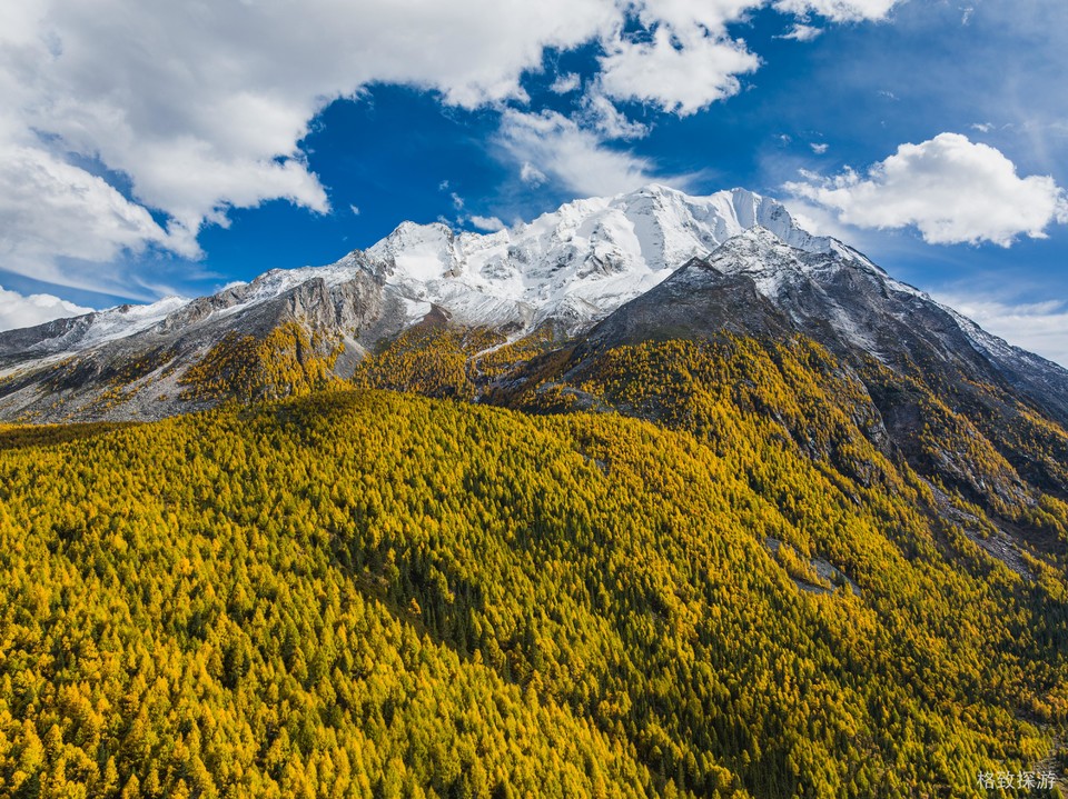 DJI_20241023132808_0361_D-已增强-降噪