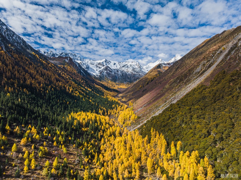 DJI_20241025084404_0366_D-已增强-降噪