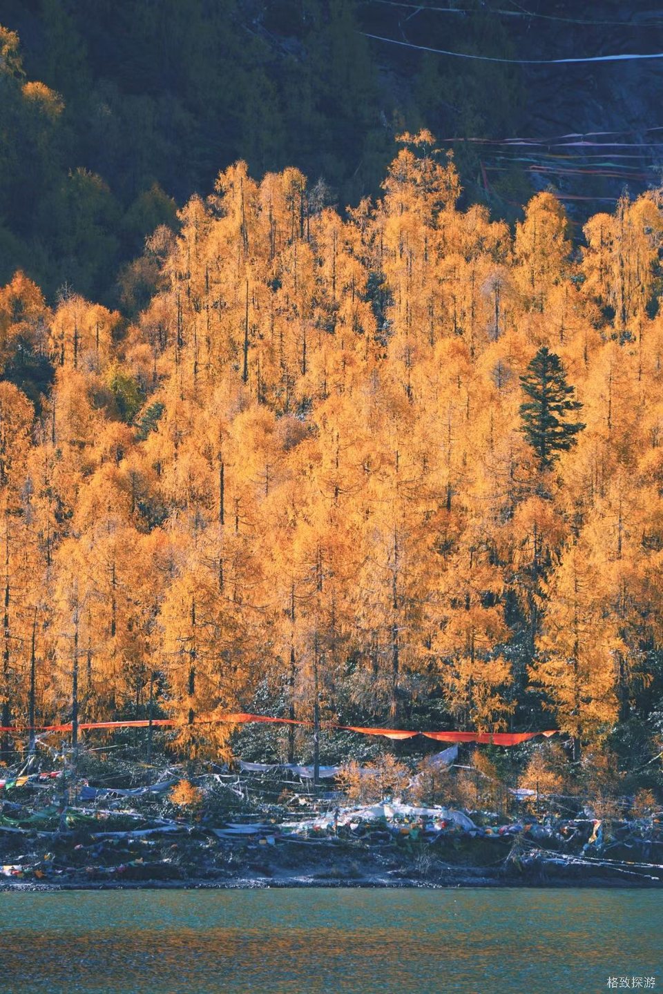 30雅拉友措，摄影师歧路