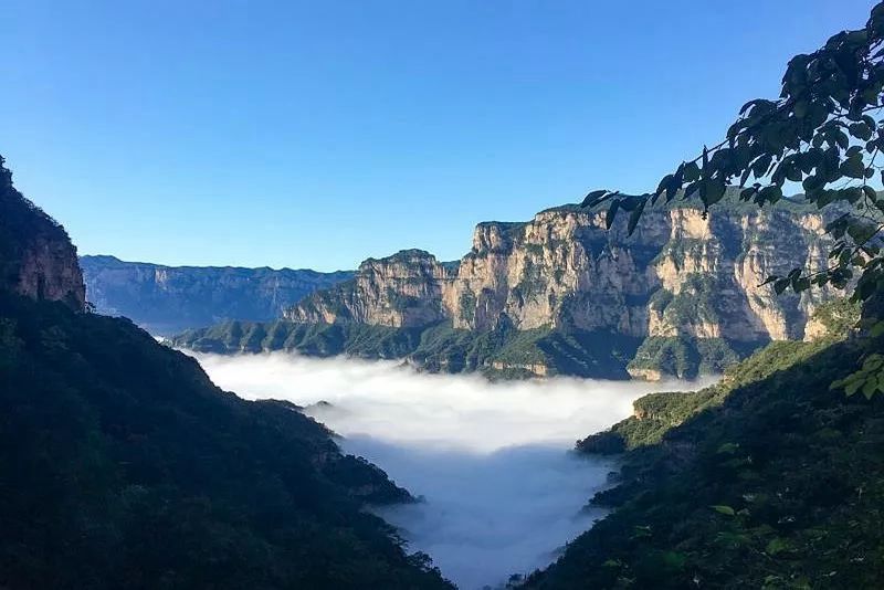 微信图片_20180320082943