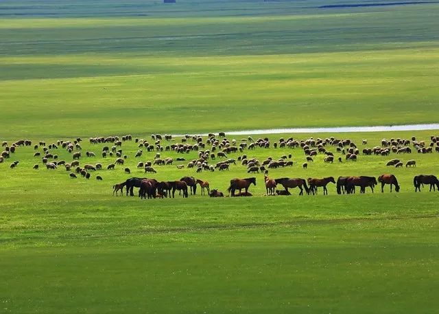 微信图片_20180406122631