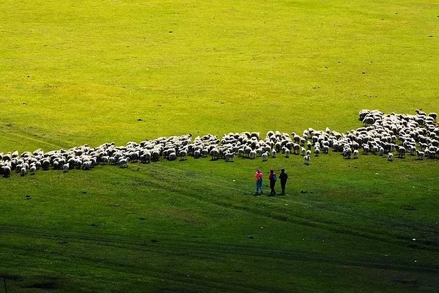 微信图片_20180406122639