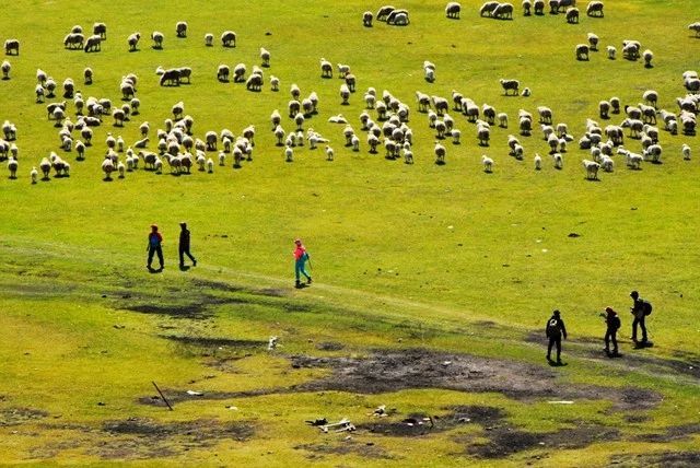 微信图片_20180406122648