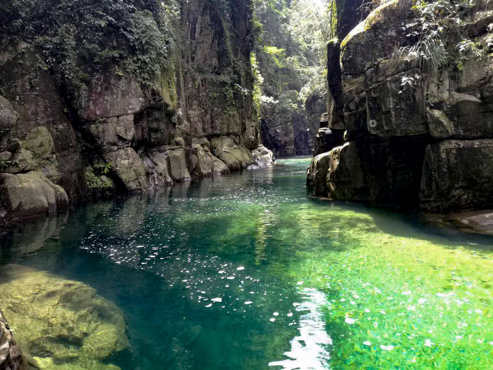 QQ图片20190617073522