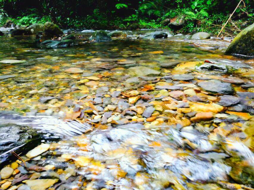 QQ图片20190712095245