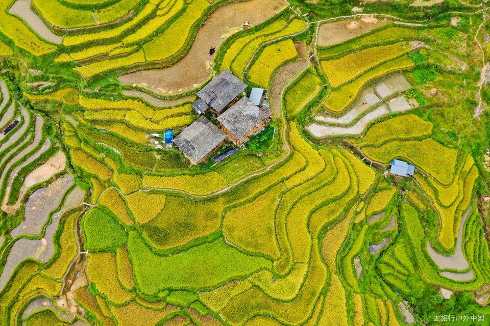 org_003d276229648d5f_1567929362000