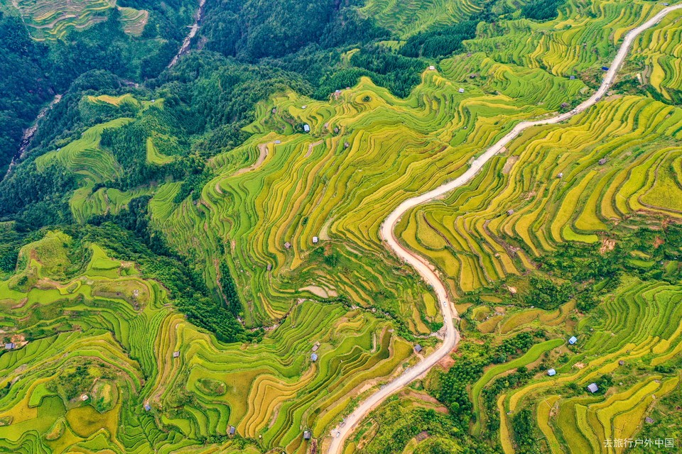 org_4e795530bf99c9c8_1567935606000