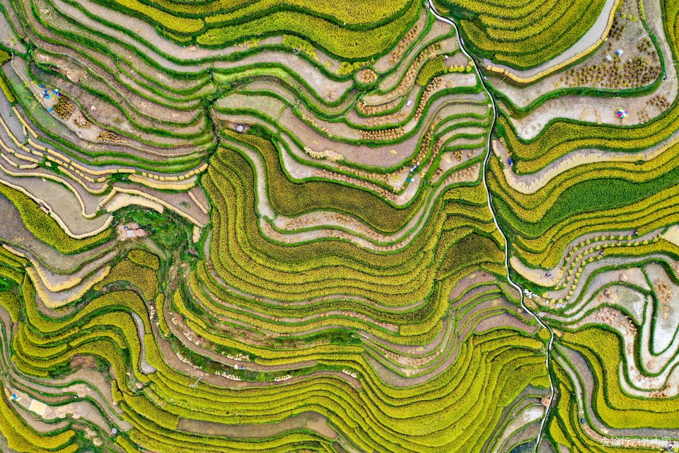 org_7e0d1ac32db1c1b2_1567924016000