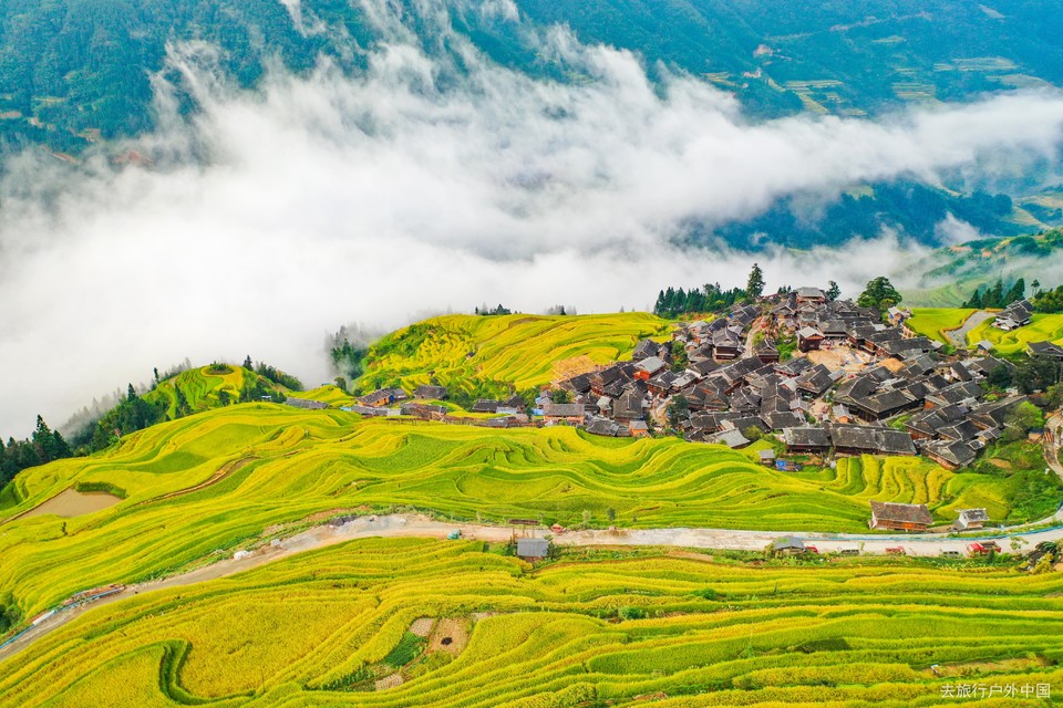 org_0099db951d0851d6_1567983154000